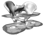 A 3D Statistical Shape Model of the Pelvic Bone for Segmentation