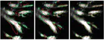A New Class of Distance Measures for Registration of Tubular Models to Image Data