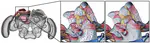 Adaptive Remeshing of Non Manifold Surfaces