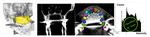 Automatic Detection and Classification of Teeth in CT Data