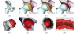 Coupling Deformable Models for Multi Object Segmentation