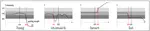 Shape-Constrained Automatic Segmentation of the Liver Based on a Heuristic Intensity Model