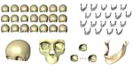 Statistical Shape Models - Understanding and Mastering Variation in Anatomy