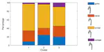 Unsupervised Learning and Statistical Shape Modeling of the Morphometry and Hemodynamics of Coarctation of the Aorta