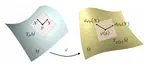 Variational and Statistical Shape Modeling for 3D Geometry Reconstruction