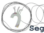 Grand Challenge: Segmentation of the Aorta